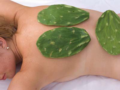 Cactus Massage