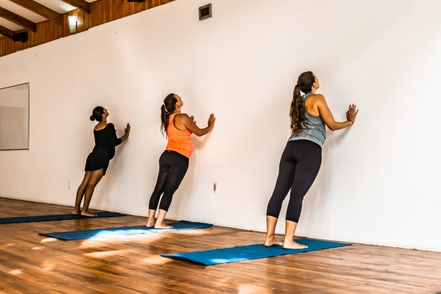 upward-dog-against-the-wall-during-pregnancy-1024x683