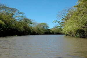 Palo verde tempisque river 